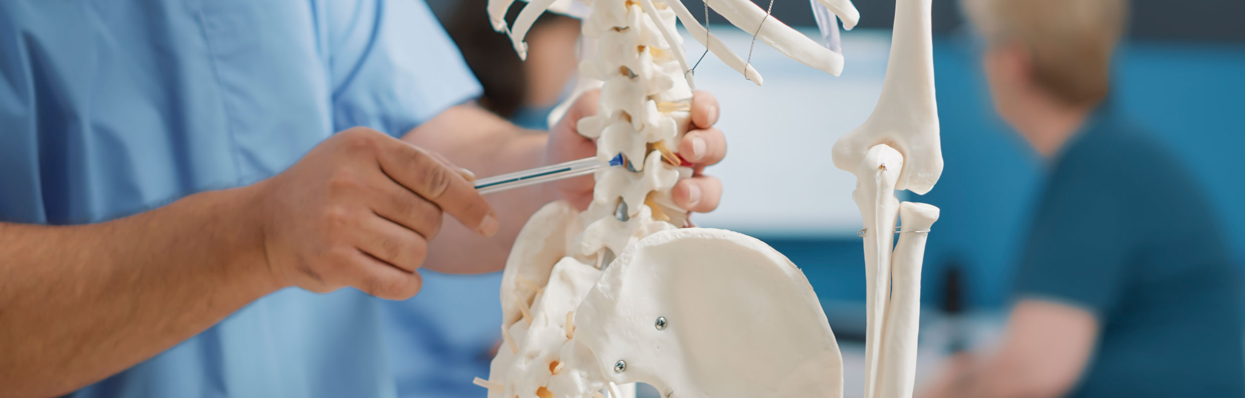 Spinalkanalstenose Rückenschmerzen Hamburg Experte Dr. med. Herlein